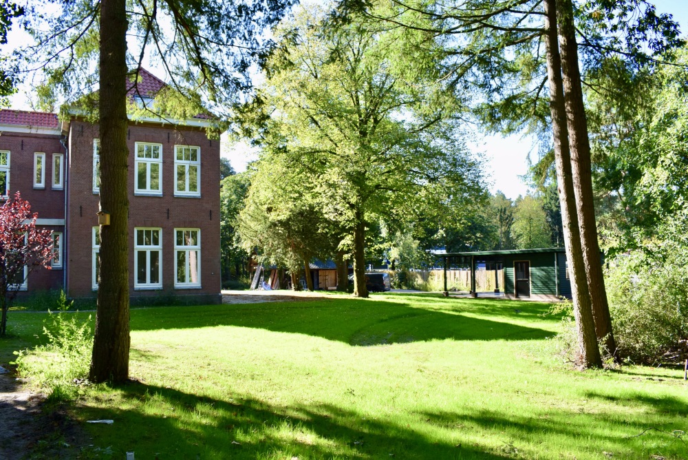 Foto 2 1000w