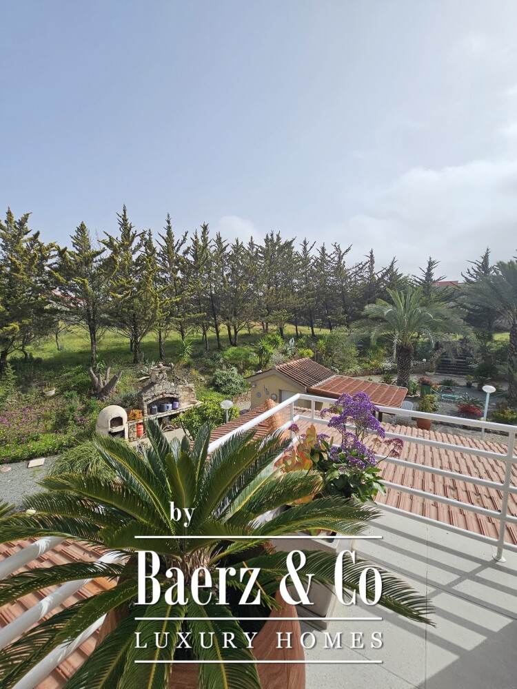 Foto 2 1000w