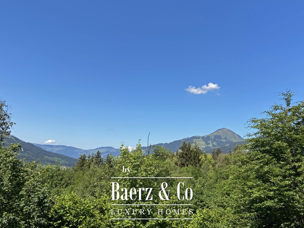 Foto 12 1000w
