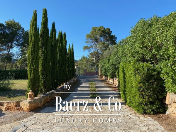 photo 22 Great finca in a rustic area of Port d'Andratx