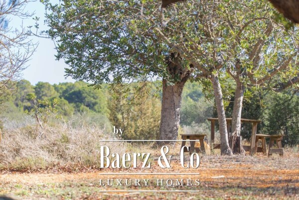 photo 55 Beautiful luxury home in San Mateo, San Mateo