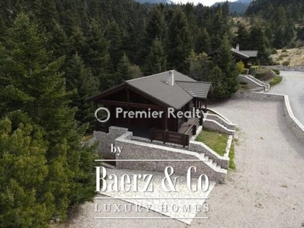 photo 15 950495 - Chalet | Eptalofos, Parnassos, 480 sq.m.