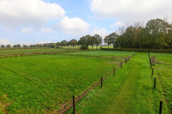 photo 61 Waatselaarstraat 3