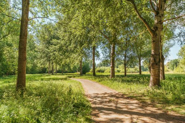 photo 67 Keverberg 41