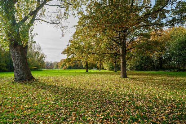 photo 48 Boymansweg 17