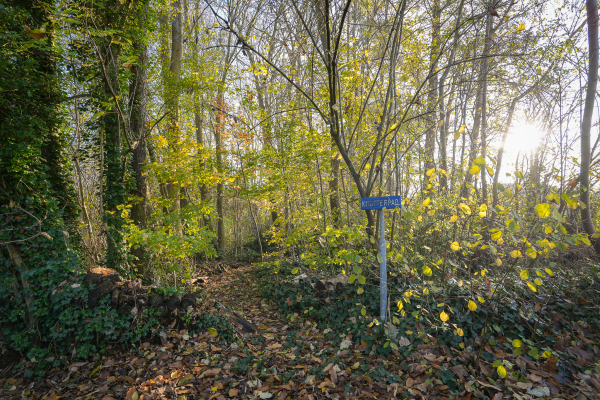 photo 64 Korfgraaf 24