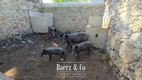 photo 34 Tablaje 3710 Rancho San Roman y Tablaje 1939 Rancho San Jose 