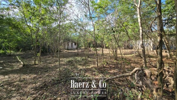 photo 18 Sagrado - Valladolid 