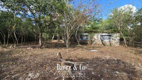 photo 11 Sagrado - Valladolid 