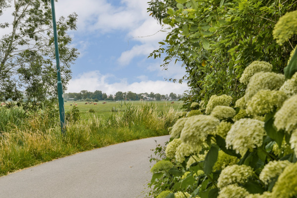 photo 31 Klompweg 17