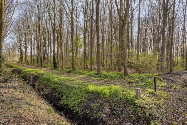 photo 63 Erasmusweg 5