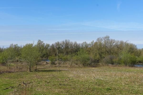 photo 53 Duffeltdijk 9