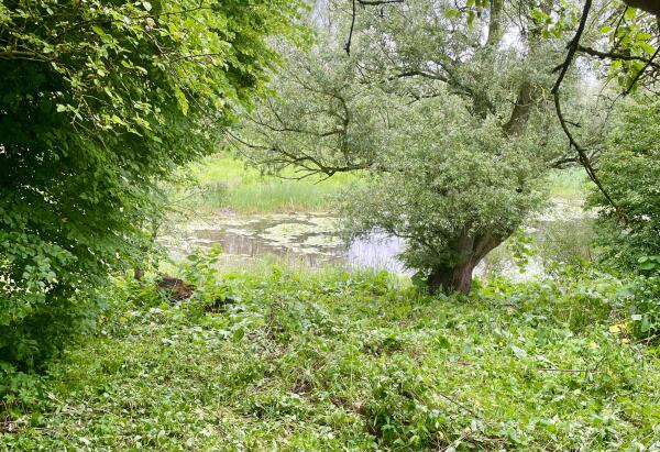 photo 63 Duffeltdijk 9