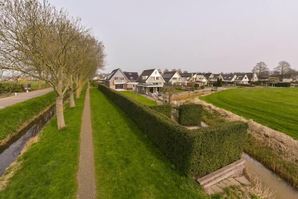 photo 62 Timotheegras 13