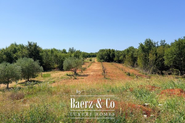 photo 20 Istria, vicinity of Poreč, luxury stone villa with panoramic sea views