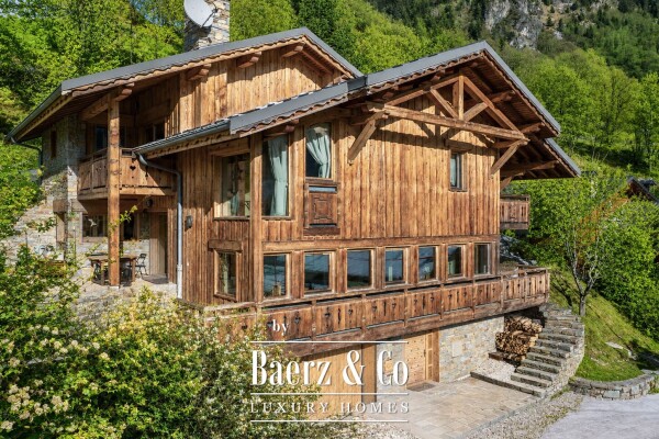 photo 1 An exceptional chalet facing the mountain peaks