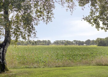 HARFSEN